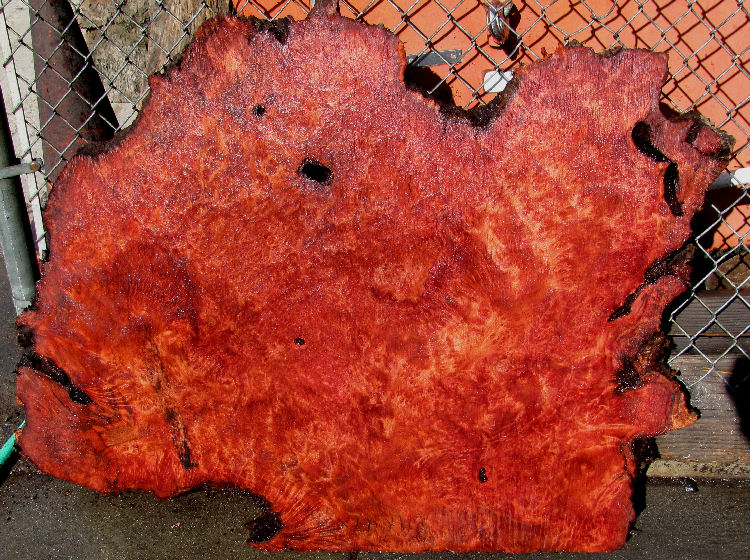Redwood Burl by Artisan Burlwood
