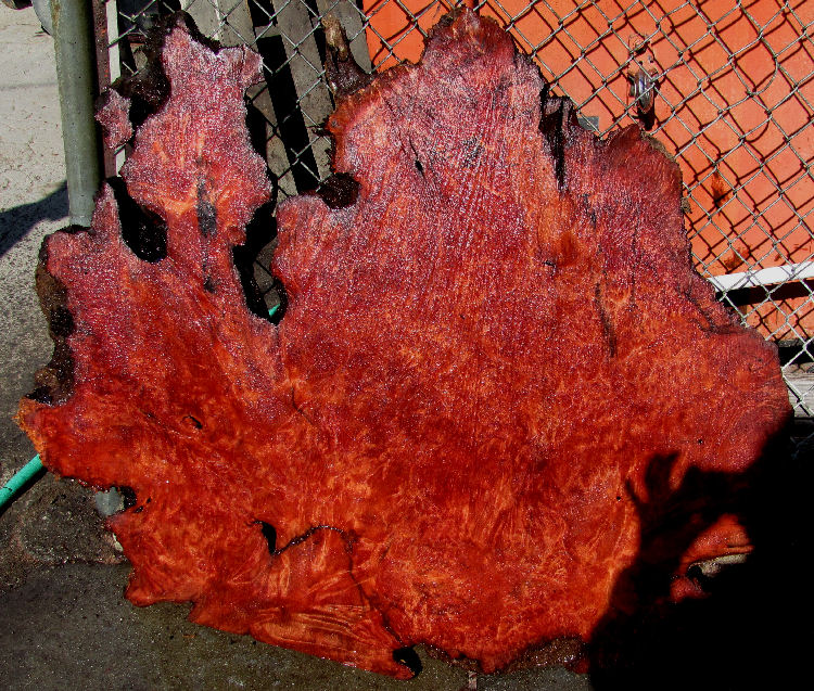 Redwood Burl by Artisan Burlwood