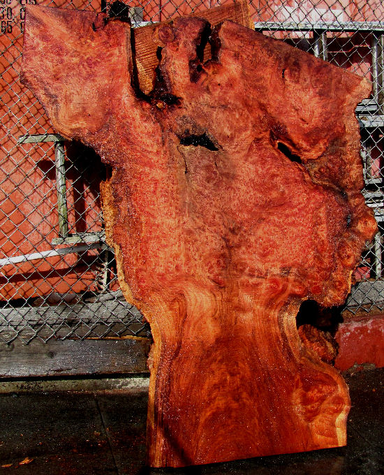 Redwood Burl by Artisan Burlwood