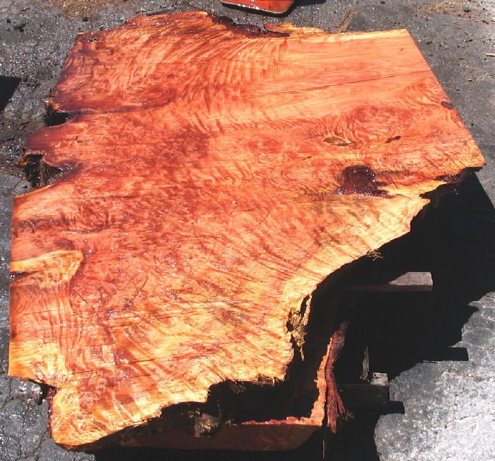 Redwood Burl by Artisan Burlwood