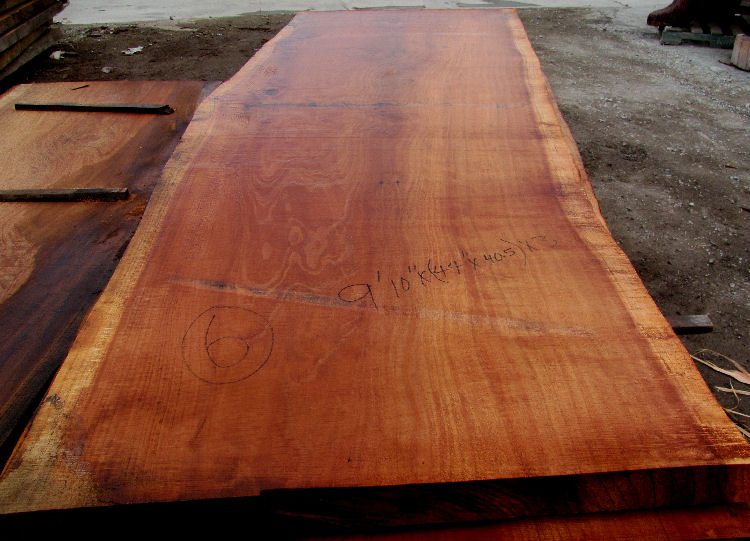 Redwood Log Slab