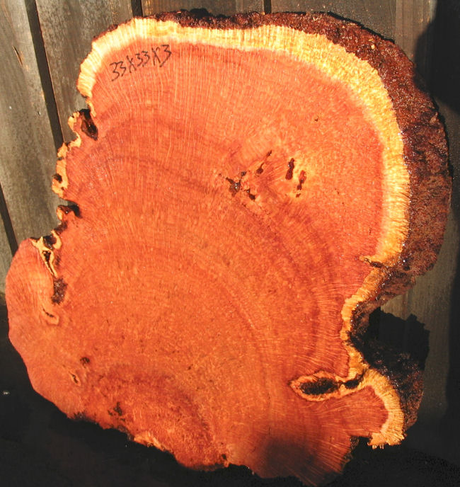 Redwood Lace Burl Slab