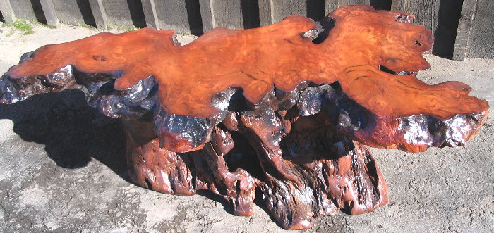 Redwood Burl Coffee Table