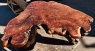 redwood burl table custom furniture