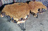 click to view redwood burl table redwood burl table custom furniture