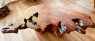click to view redwood burl table redwood burl table custom furniture