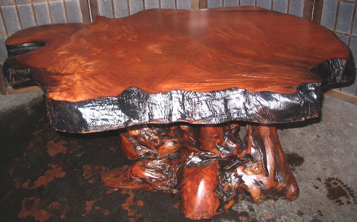 Redwood Burl Coffee Table -SOLD!