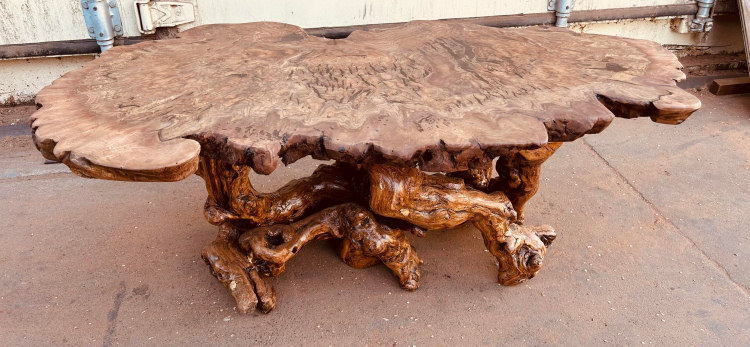 Walnut Burl Coffee Table with Grape Root Base