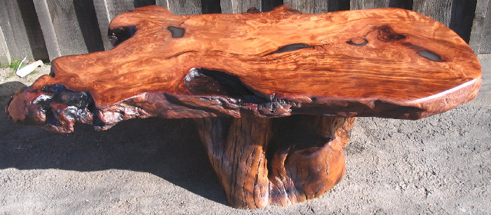 Redwood Burl Coffee Table