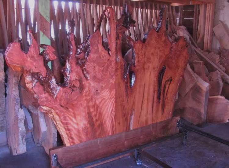 Redwood Burl Headboard