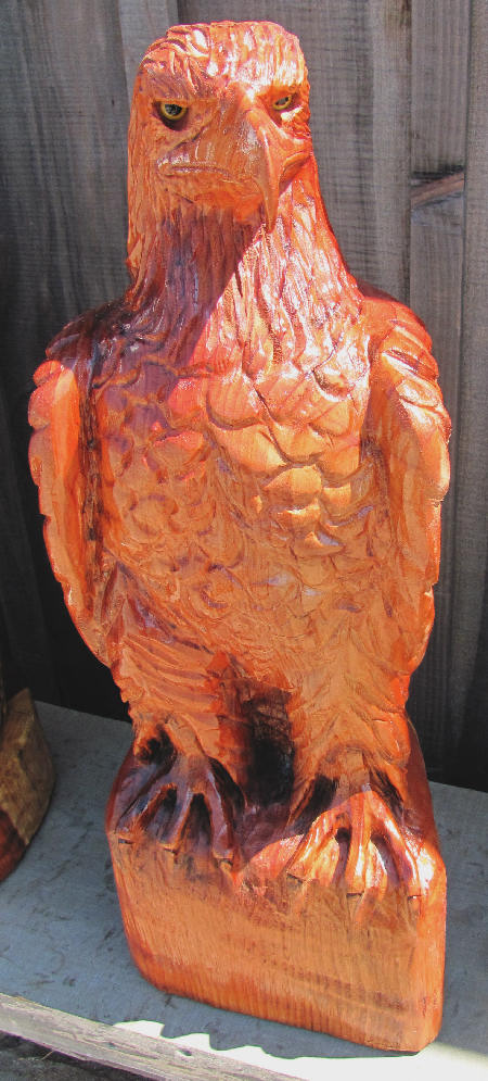 Redwood Eagle
