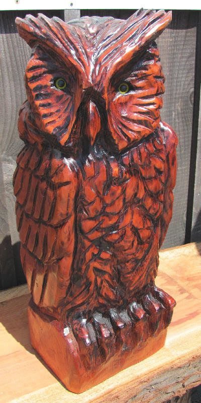 Redwood Owl