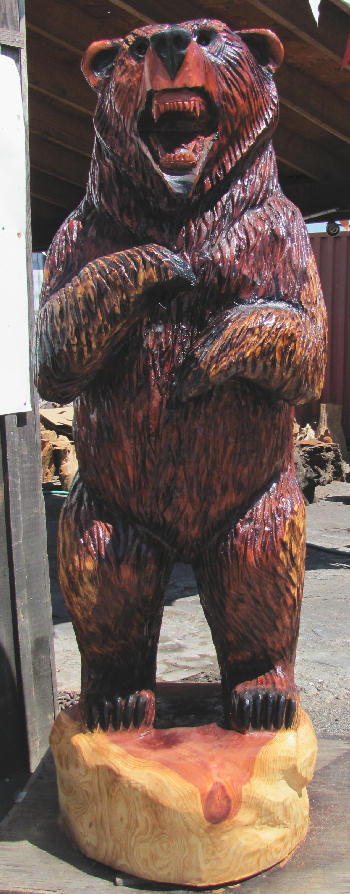 Redwood Bear