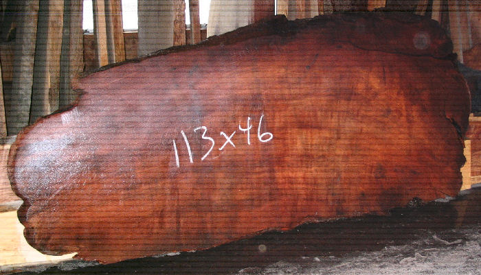 Redwood Root Slab