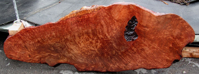 Redwood Burl Bar Top