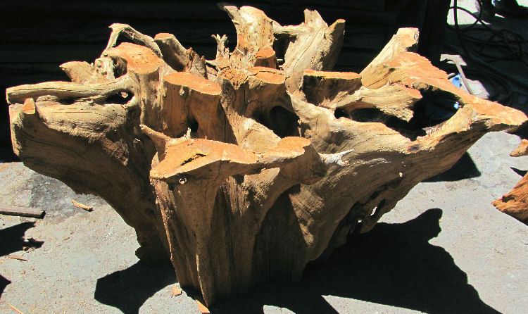 Root Base