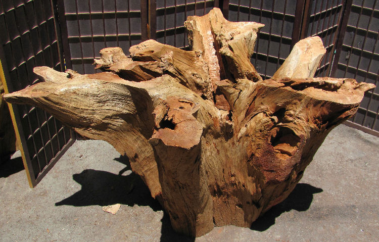 Root Base