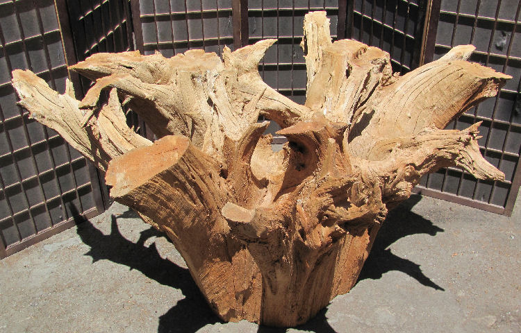 Root Base