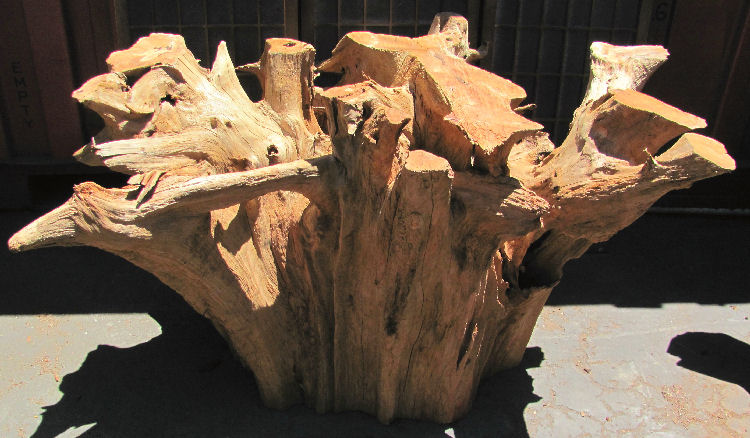 Root Base