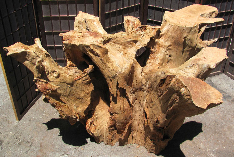 Root Base