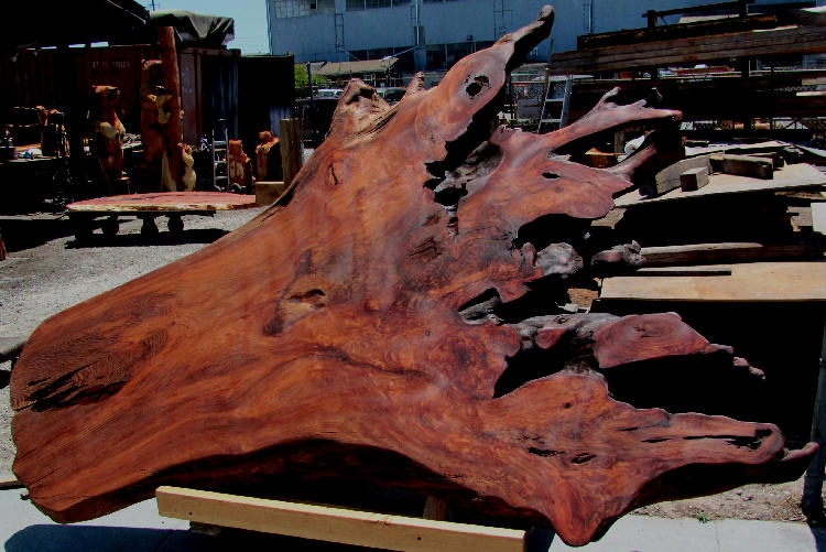 Redwood Burl Table Top