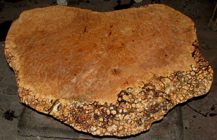 Maple Burl Table Top