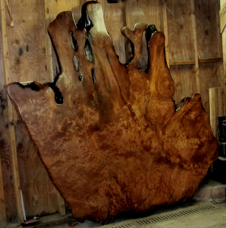 Lace Redwood Burl Table Top