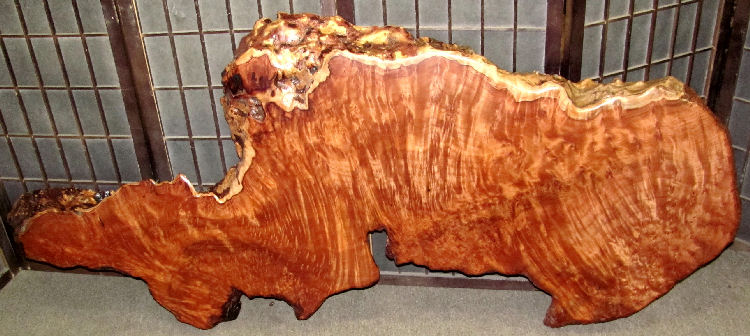 Redwood Burl Table Top