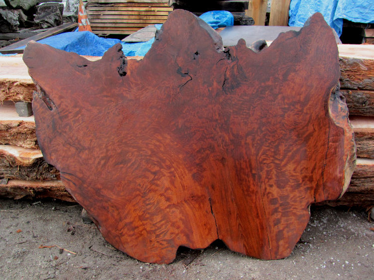 Redwood Burl Slab