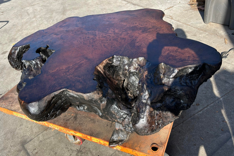Redwood Burl Coffee Table